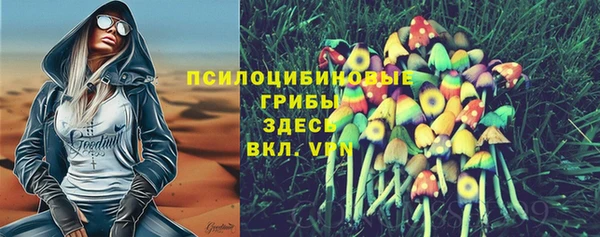 СК Алексеевка